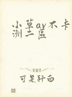 小草av不卡亚洲二区