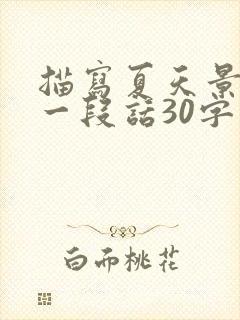 描写夏天景色的一段话30字