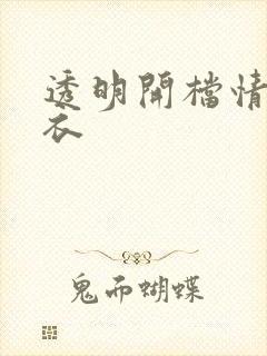 透明开档情趣内衣