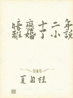 暗恋十二年的他离婚了小说