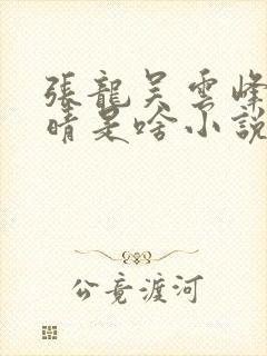 张龙吴云峰和周晴是啥小说