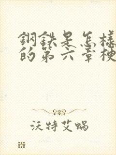 钢铁是怎样炼成的第六章梗概100字