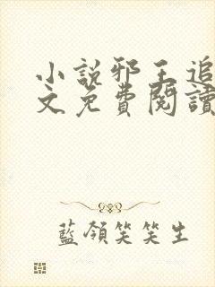 小说邪王追妻全文免费阅读免费