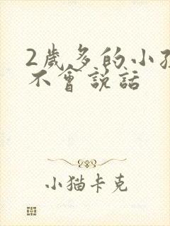 2岁多的小孩还不会说话