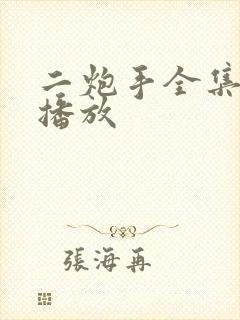 二炮手全集免费播放