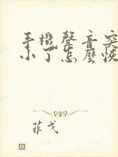 手机声音突然变小了怎么恢复正常