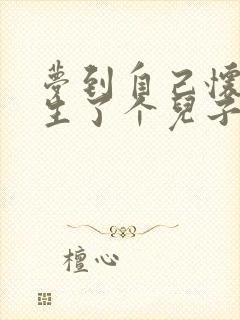 梦到自己怀孕还生了个儿子