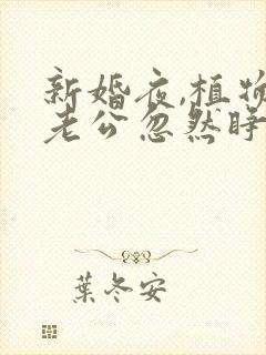 新婚夜,植物人老公忽然睁开眼无广告