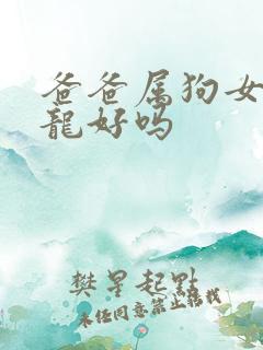 爸爸属狗女儿属龙好吗