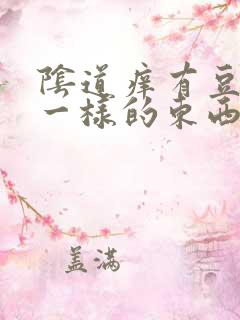 阴道痒有豆腐渣一样的东西