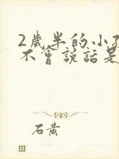 2岁半的小孩还不会说话是什么原因