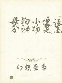 母狗小便流白色分泌物是怎么回事