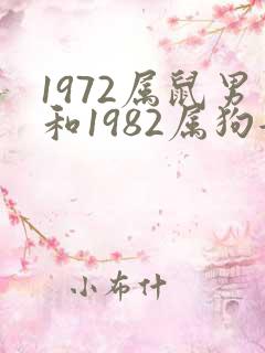 1972属鼠男和1982属狗女相配吗