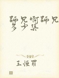 师兄啊师兄共有多少集