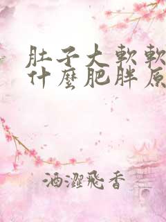 肚子大软软的是什么肥胖原因