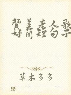 赞美老人歌唱的好简短句子