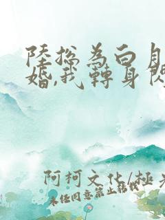 陆总为白月光悔婚,我转身闪婚了