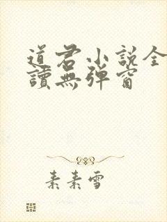 道君小说全文阅读无弹窗