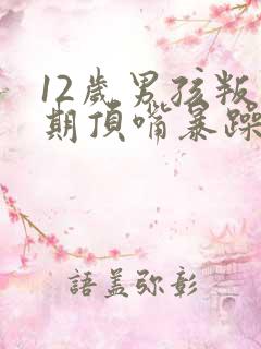 12岁男孩叛逆期顶嘴暴躁发脾气