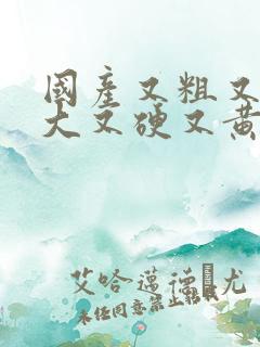 国产又粗又长又大又硬又黄