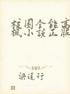 校园全能高手季枫小说正版