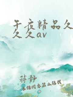 午夜精品久久久久久av