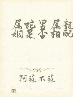 属蛇男属龙女婚姻是否相配