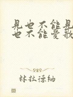 见也不能见,爱也不能爱歌词