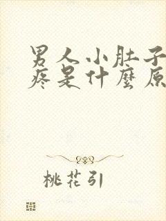 男人小肚子周围疼是什么原因