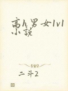 高h男女1v1小说