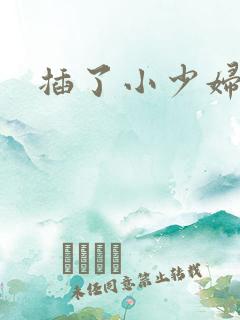 插了小少妇的穴