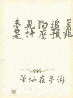 梦见狗追着咬我是什么预兆