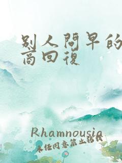 别人问早的高情商回复