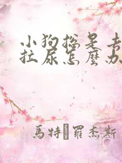 小狗总是去床上拉尿怎么办