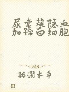 尿常规隐血2个加号白细胞2个加