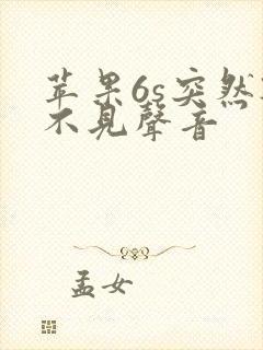 苹果6s突然听不见声音