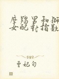 摩羯男和狮子座女配对指数