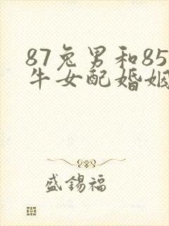 87兔男和85牛女配婚姻好不好