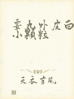 睾丸外皮白色的小颗粒