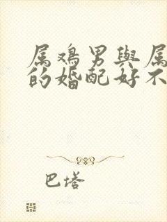 属鸡男与属蛇女的婚配好不好