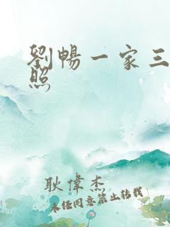 刘畅一家三口近照