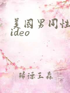 美国男同性恋video