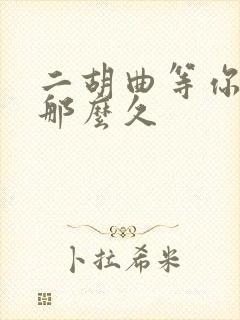 二胡曲等你等了那么久