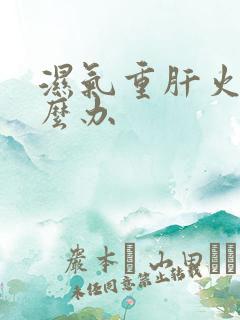 湿气重肝火大怎么办