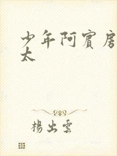 少年阿宾房东太太