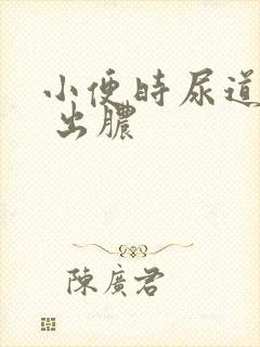 小便时尿道刺痛 出脓