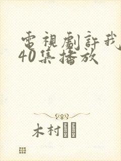 电视剧许我耀眼40集播放