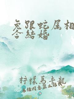 兔跟蛇属相合不合结婚