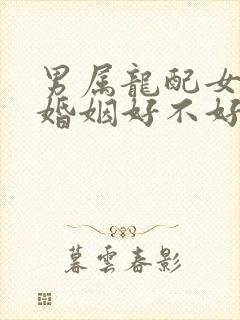 男属龙配女属羊婚姻好不好