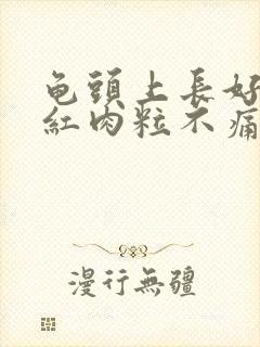 龟头上长好多小红肉粒不痛不痒